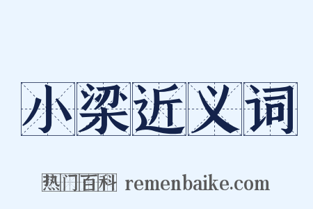 小梁近义词是什么意思的图片